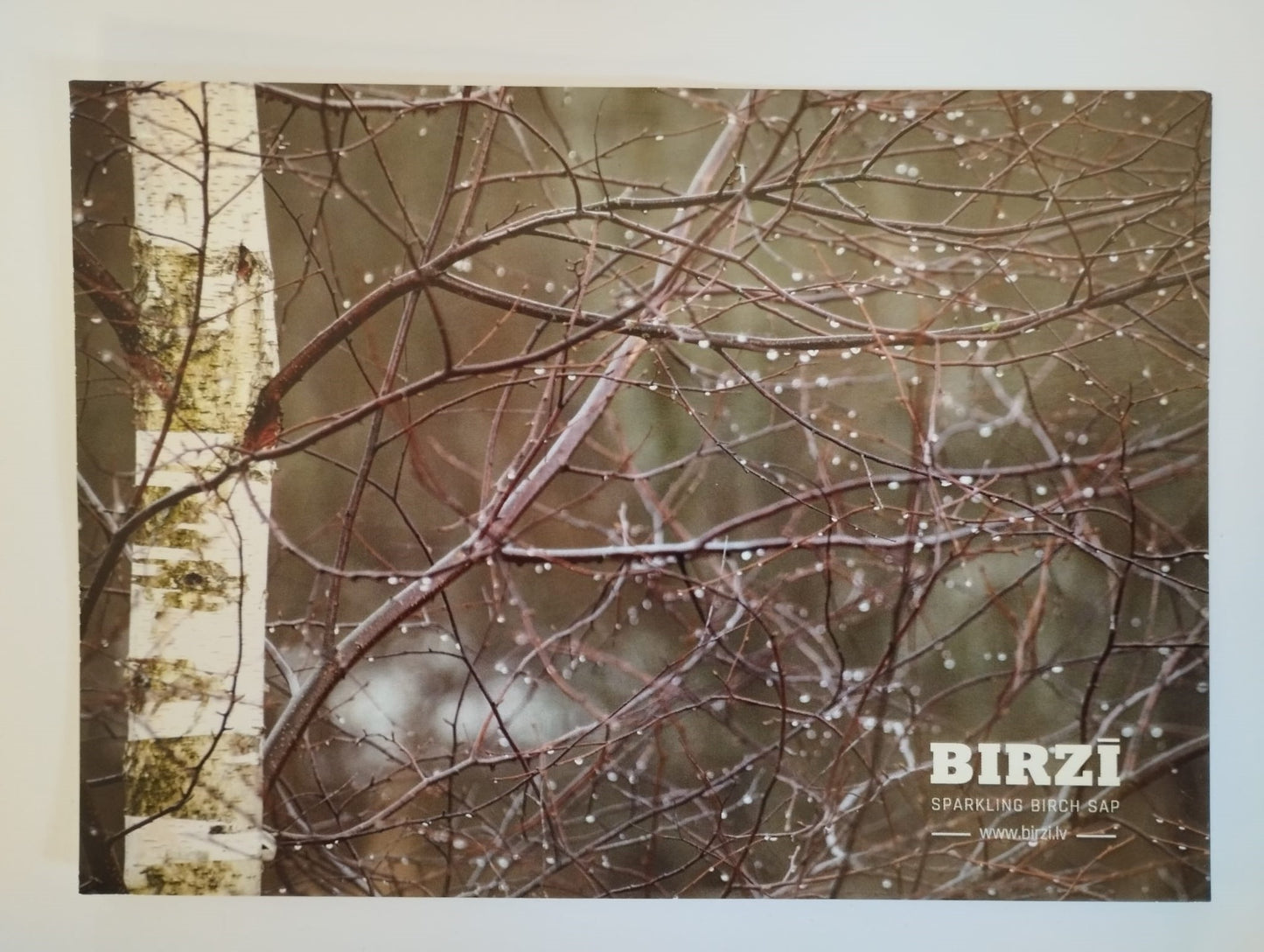 Foto pastkarte "BIRZĪ"