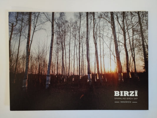 Postcard "BIRZĪ"