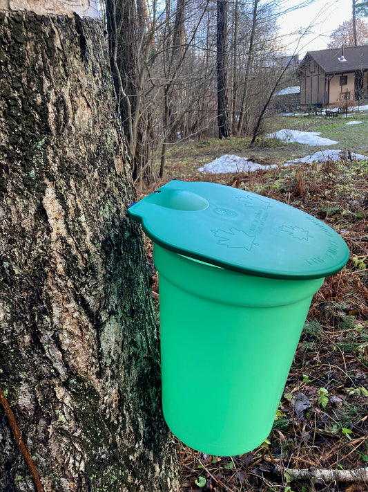 Sap gathering kit-bucket
