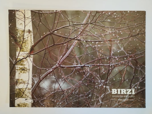 Photo postcard "BIRZĪ"