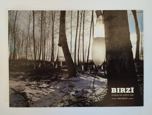 Photo postcard "BIRZĪ"