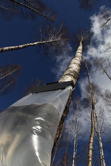 #svaigassulas #bērzusulas #sulas